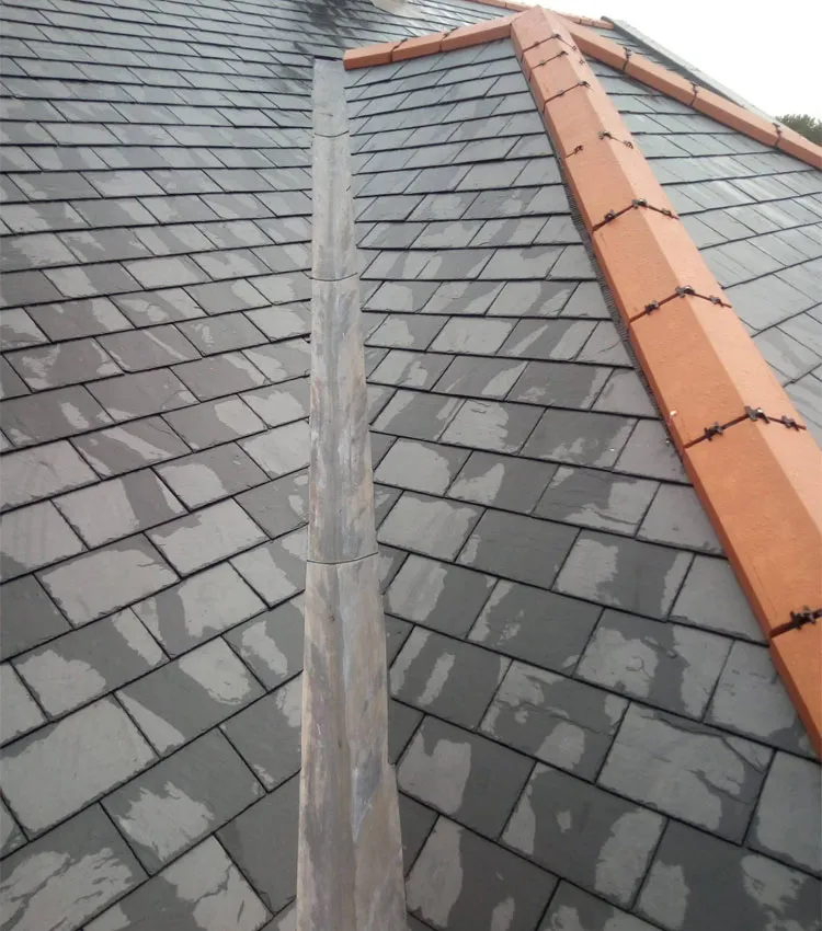 black roof