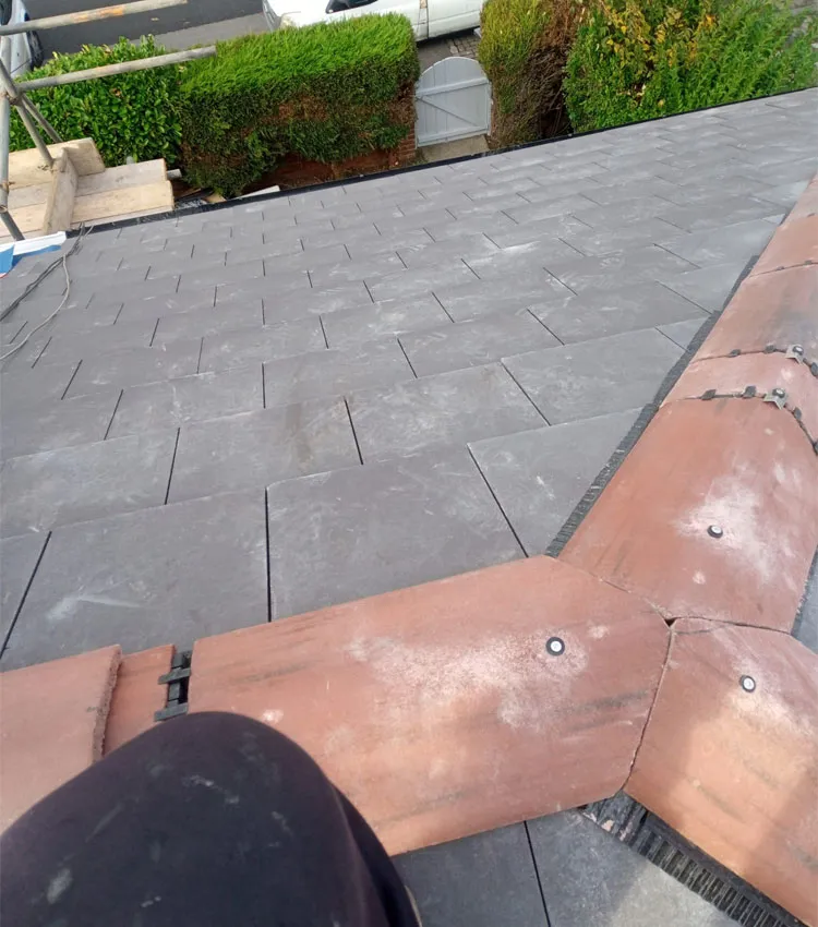 standing on a roof