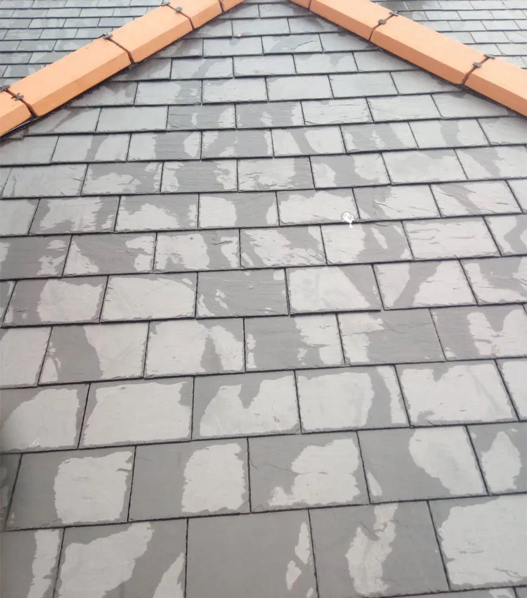 tiles on roof
