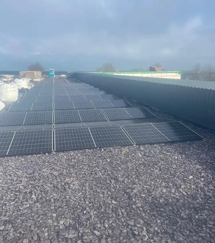 solar panels on roof
